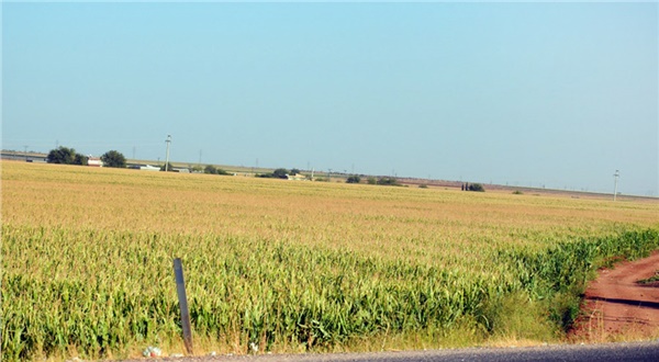 Viranşehir’de mısır ekimlerine güvenlik önlemi