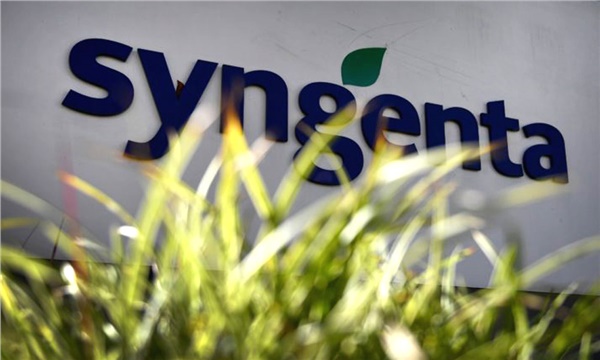 Syngenta Bayer’in tohumlarına talip