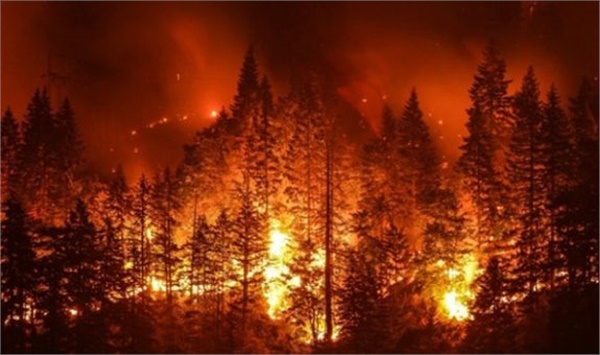 Ormanlar yanmaya devam ediyor