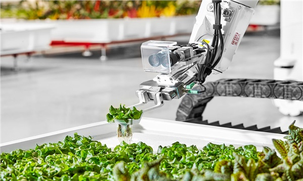 Bu tarım robotu yalnız çalışmayı seviyor!