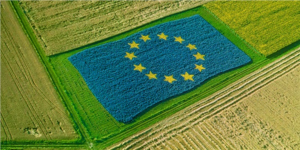 Tarımın iki hali: Avrupa ve Türkiye