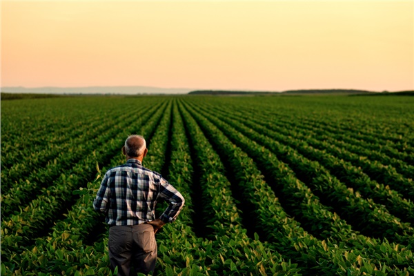 237 bin TL&rsquo;ye sığdırılan &uuml;retim