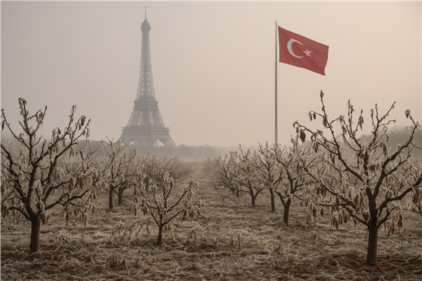 Baharın kara kâbusu: Fransa ve Türkiye’de don felaketi