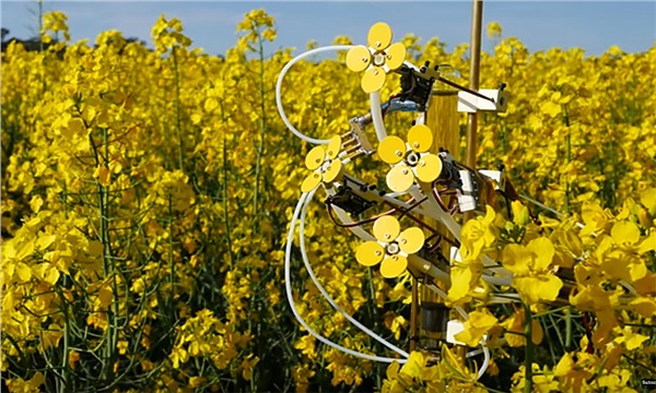 Robot çiçekler tarım alanlarını yaşatacak