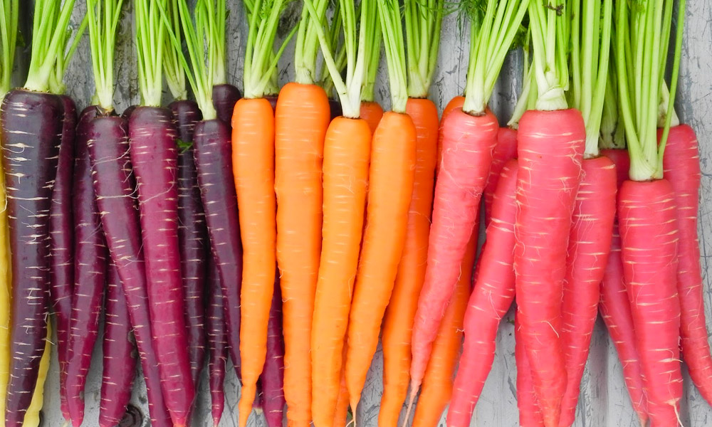 Carrot-Nutri-Red-Sugarsnax-Purplesnax.jpg